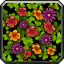 Early Spring