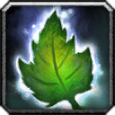 Nature's Bounty